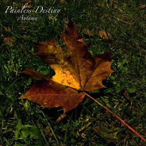 女人偷拍自感自摸黄色片
