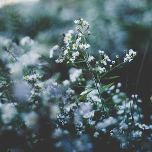 女人偷拍自感自摸黄色片
